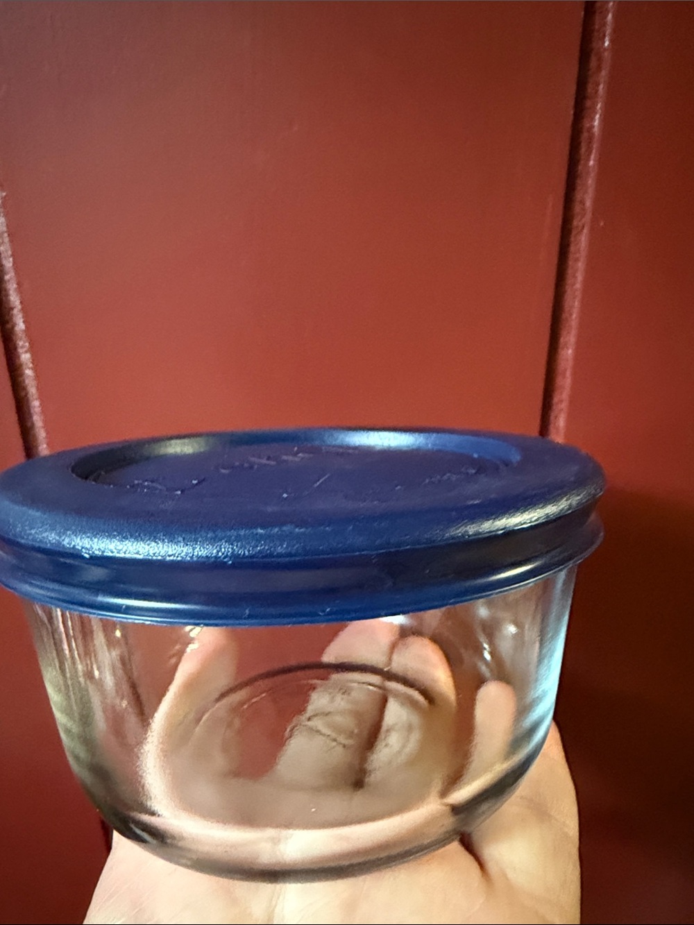 Glass Food Storage Container with Blue Lid